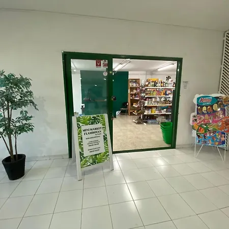 Apartamento Alma Flamboyan - Eleganza E Sport A San Agustin San Bartolome de Tirajana (Gran Canaria)