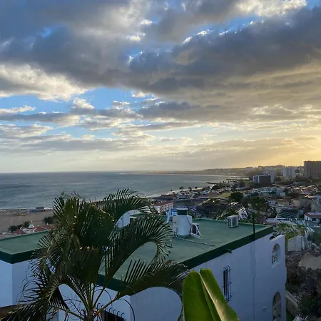 Apartamento Alma Flamboyan - Eleganza E Sport A San Agustin Apartment