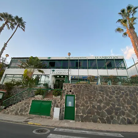 Apartamento Alma Flamboyan - Eleganza E Sport A San Agustin Apartment