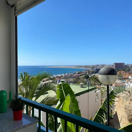Apartamento Alma Flamboyan - Eleganza E Sport A San Agustin Apartment *